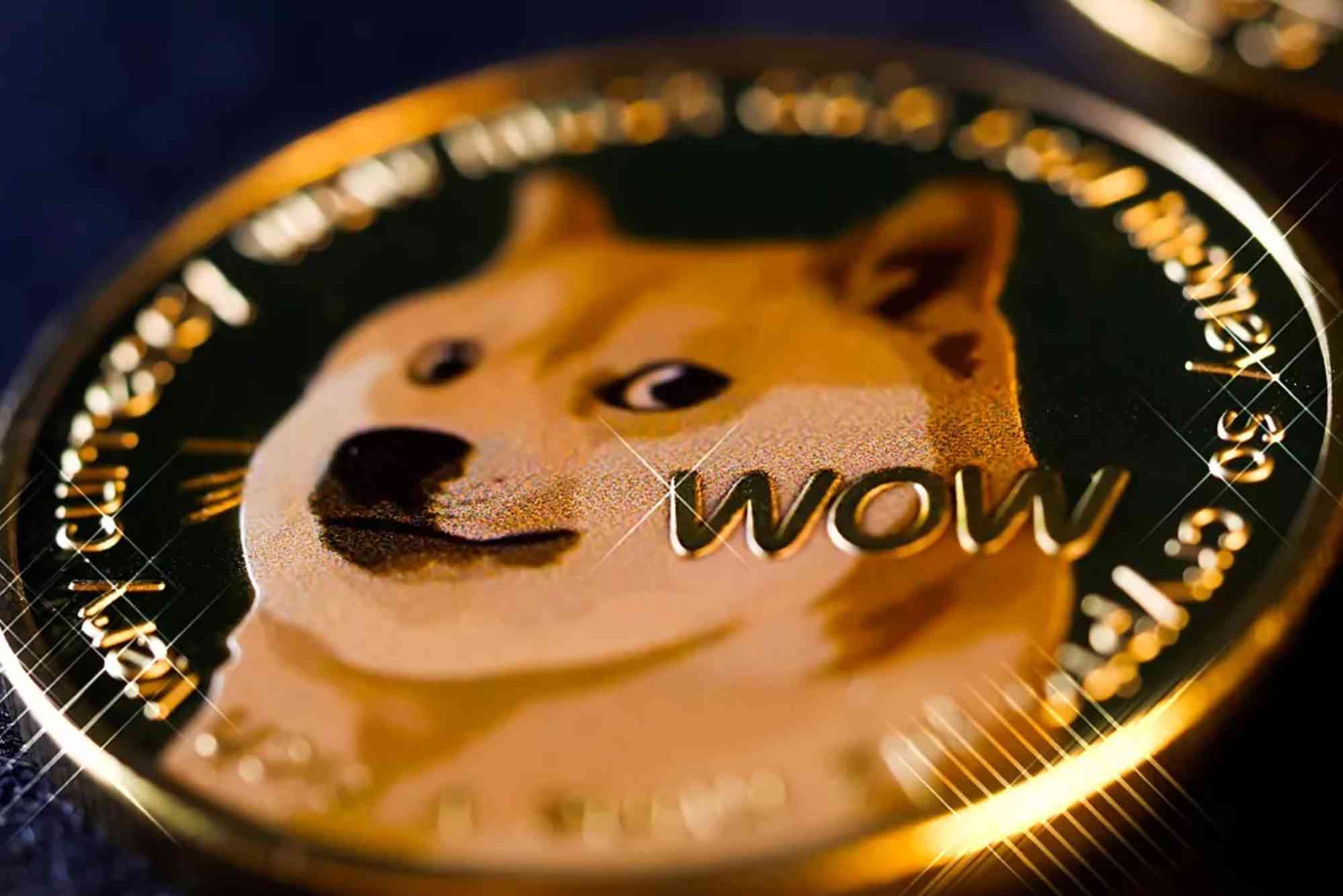 دوجكوين بين المزاح والواقع تجربة تداول واقعية على منصة Bybit